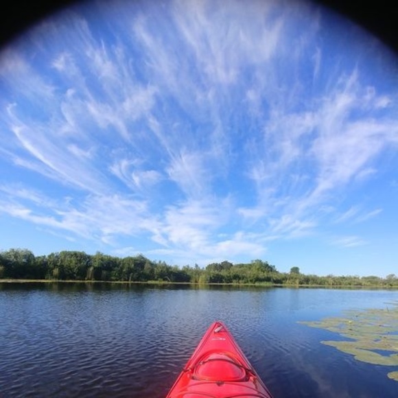 Meet your Posher, Deborah - Picture 1 of 1